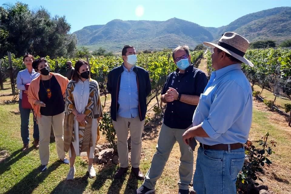 Autoridades recorrieron los viñedos El Tejón.
