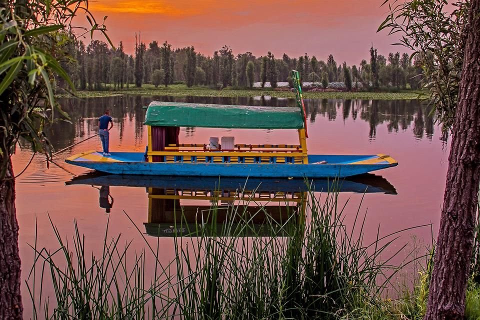 Hacer agroturismo en Xochimilco.