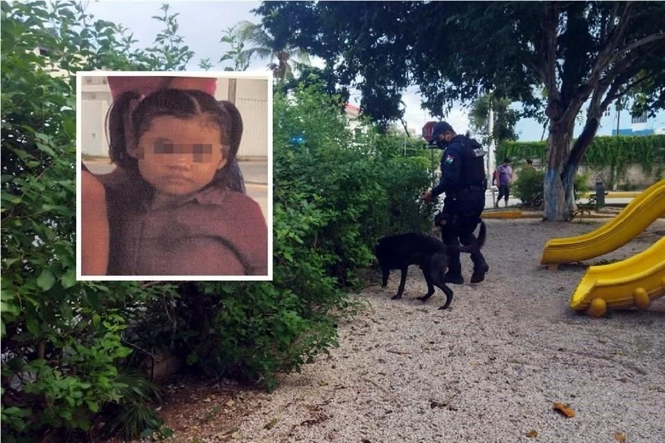 La niña, de apenas seis años, era buscada por sus familiares desde hace cuatro días tras desaparecer en la Colonia Zazil-Ha, en Playa del Carmen.