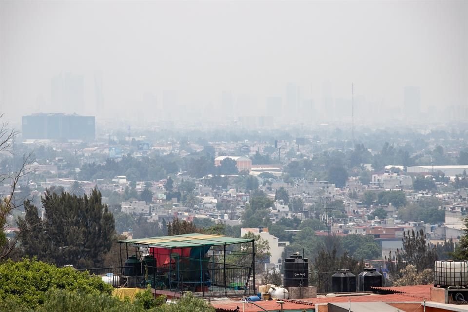 Para superar la primera contingencia por ozono declarada en el año, la Came pidió a CFE disminuir hoy el consumo de combustóleo en la termoeléctrica de Tula.