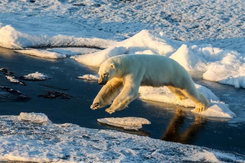 En 2021, los océanos del mundo batieron por sexto año consecutivo su récord de temperatura y están más calientes que nunca, revela estudio.