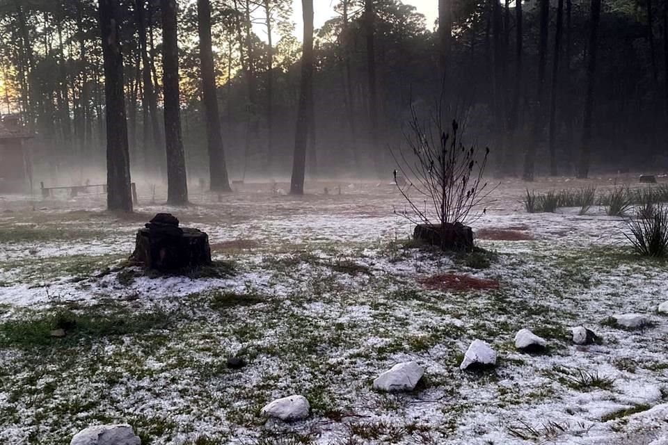 El paisaje se volvió blanco debido el aguanieve vespertina.