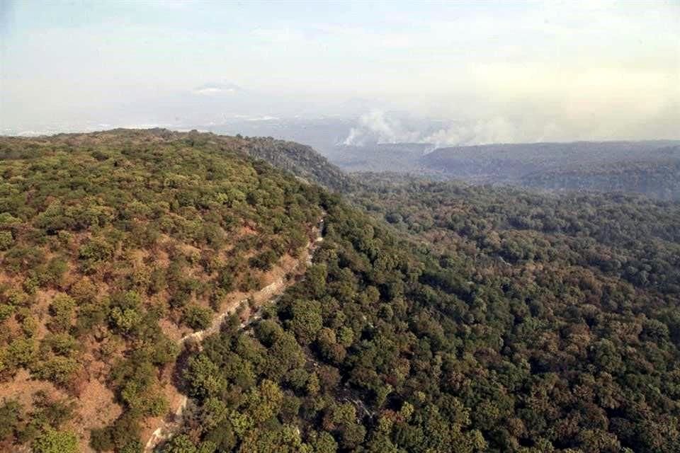 Protección Civil de Tlajomulco y el OPD Bosque La Primavera dan información contradictoria respecto a incendios, según acusan.