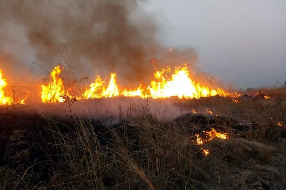 Los incendios se encuentran en la zona de Planillas, en Tala, y El Tecolote, en Zapopan.