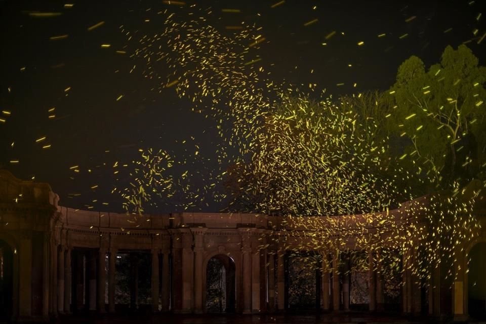 SPARK Bilbao se presentará en el parque central de Bilbao, España.