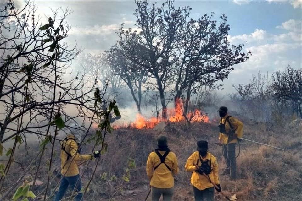 Este viernes se incendió una zona de El Nixticuil donde los planes parciales permiten urbanización, contra el decreto del ANP.