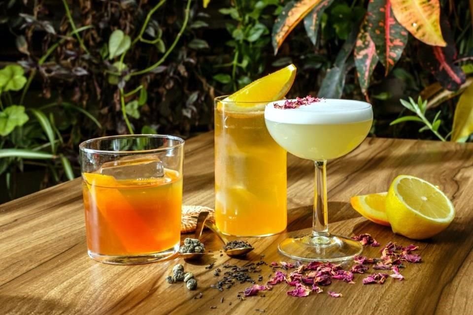 Ya sea infusionada o macerada, la Camellia Sinensis también se lleva bien en la coctelería.