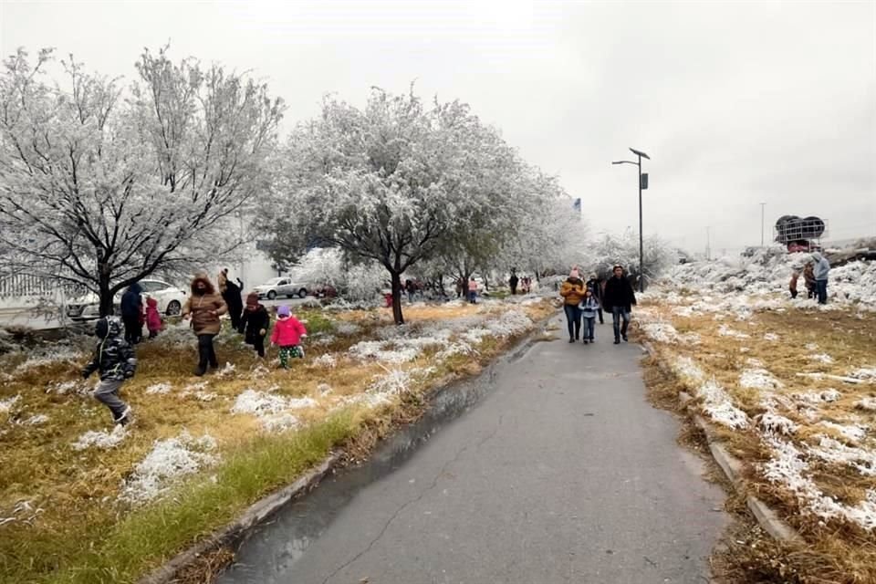 La nieve reunió a familias a un costado del Bulevar Fundadores, al oriente de Saltillo.