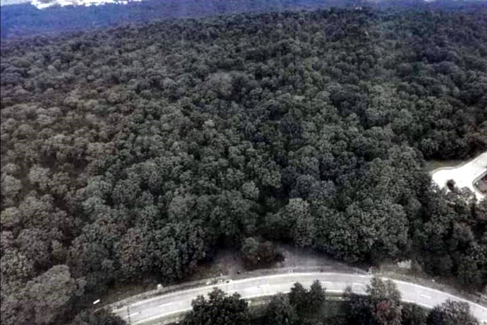 El decreto de recuperación ambiental más reciente data de enero de 2018 y corresponde al Cerro del Tajo.