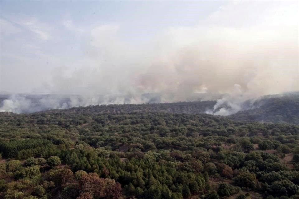 Es letra muerta la reforma aprobada en 2020 al Código Urbano, así como a la Ley Estatal de Equilibrio Ecológico y Protección al Ambiente.