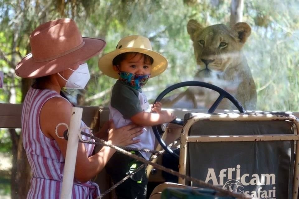 Una escapada a Africam Safari, para aprender más sobre cómo salvaguardar  el fantástico mundo animal.