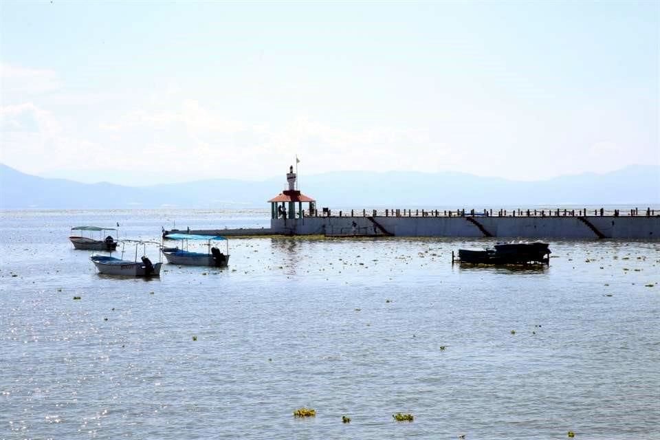 Un sitio web con información científica, cultural y social respecto al Lago de Chapala fue puesto en operación por asociaciones civiles.