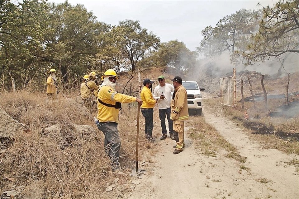Este año La Primavera contará con un máximo de 22 brigadistas forestales.
