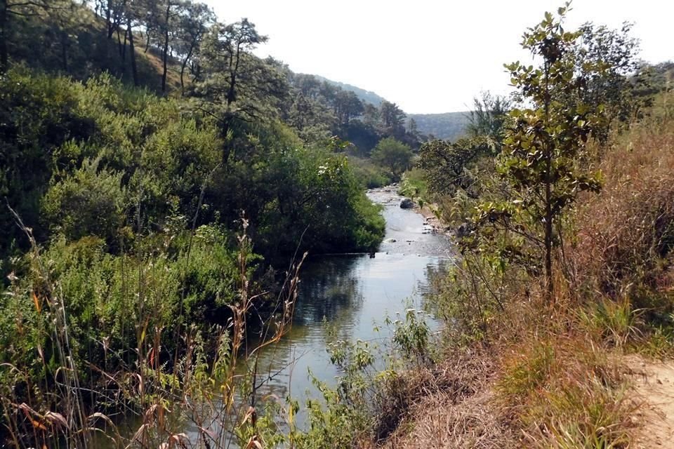 Río Caliente, en el Bosque La Primavera, donde se presentó un derrame de combustible.