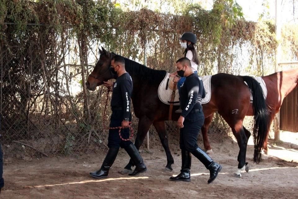 El Centro de Equinoterapia del Escuadrón Montado y Forestal de la Policía de Zapopan brinda terapias a niños con discapacidad.