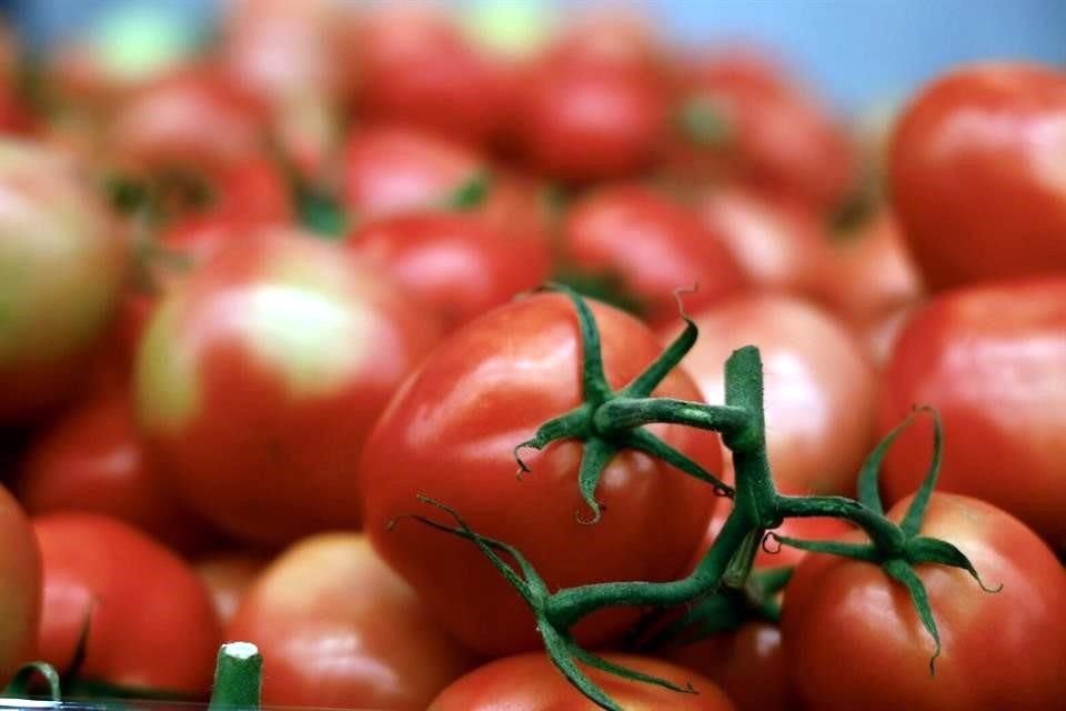 Productores de tomates de Florida piden al Presidente Biden que rescinda un acuerdo de 'suspensión' de cuatro años con México para que se puedan imponer aranceles antidumping a los tomates que cruzan hacia EU. 