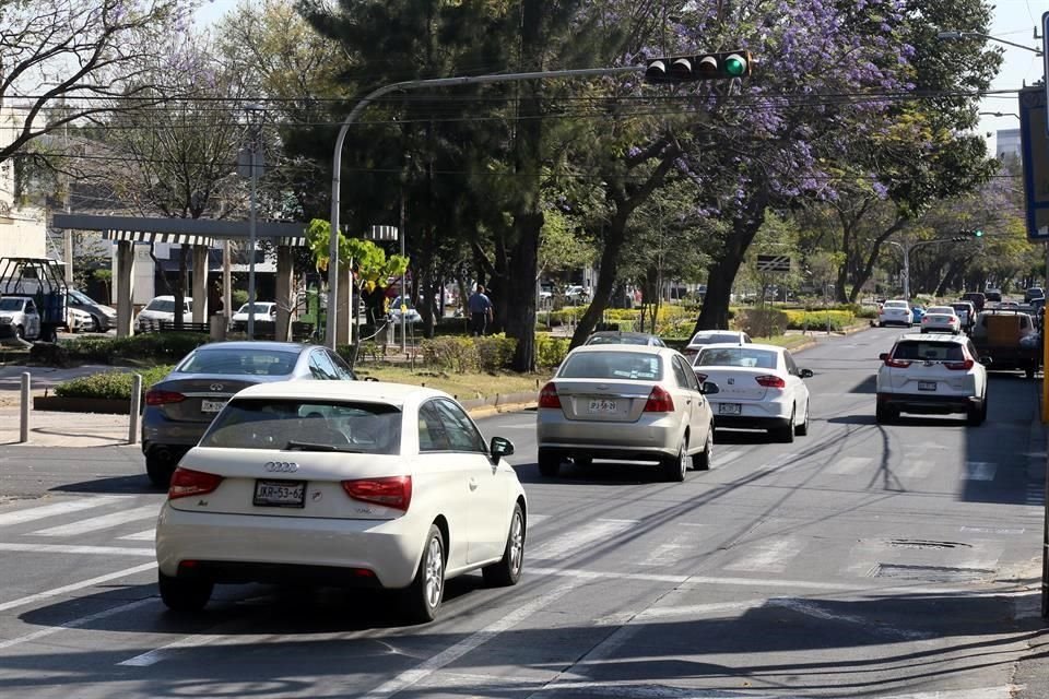 Siete de cada 10 delitos cometidos el año pasado en Prados Providencia fueron robos de autos.