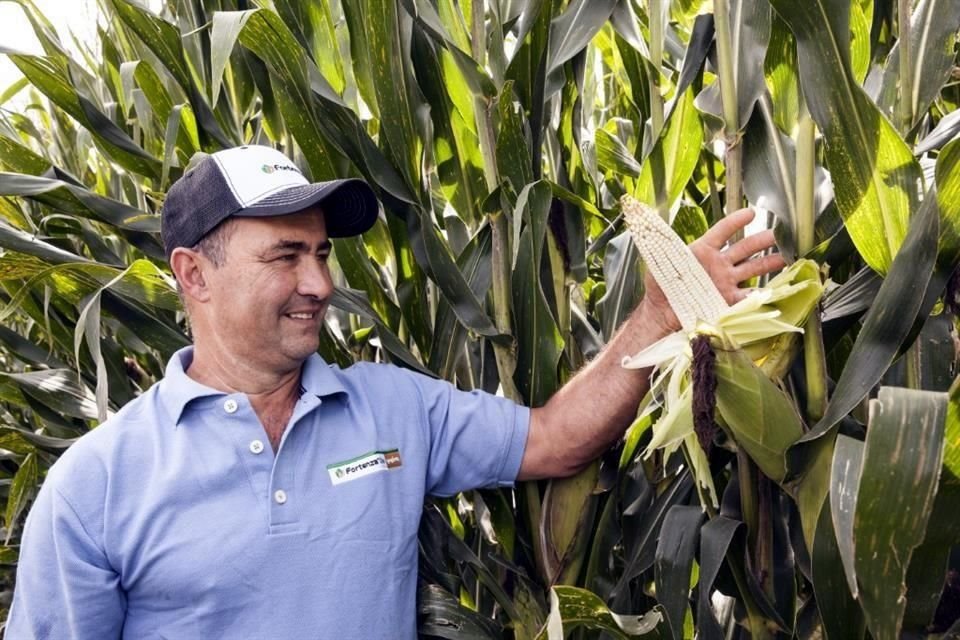 Syngenta trabaja en transformar los sistemas agroalimentarios para hacerlos más productivos.