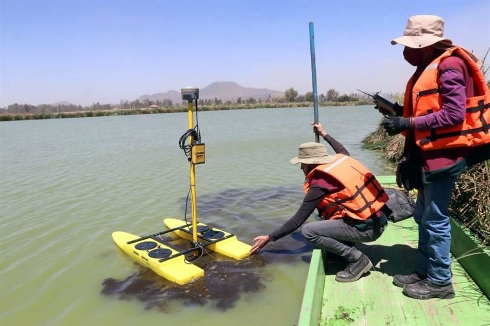 Agua contaminada que beben las aves o hundimientos de hasta seis metros asociados a la sobreexplotación de mantos acuíferos, son algunas de las problemáticas que presenta la laguna Tláhuac-Xico.