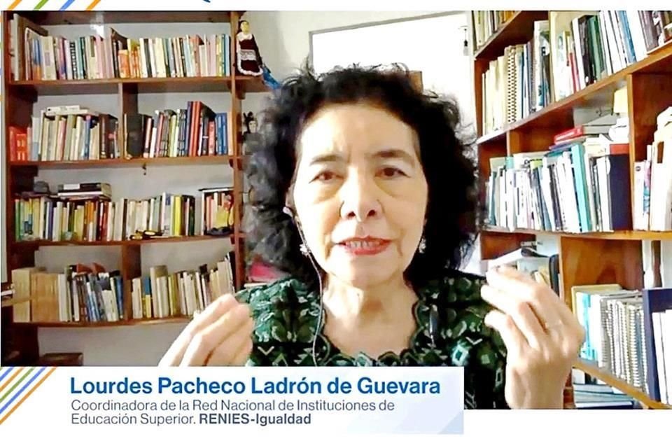 En la charla por Zoom especialistas compartieron estrategias para combatir la violencia de género.