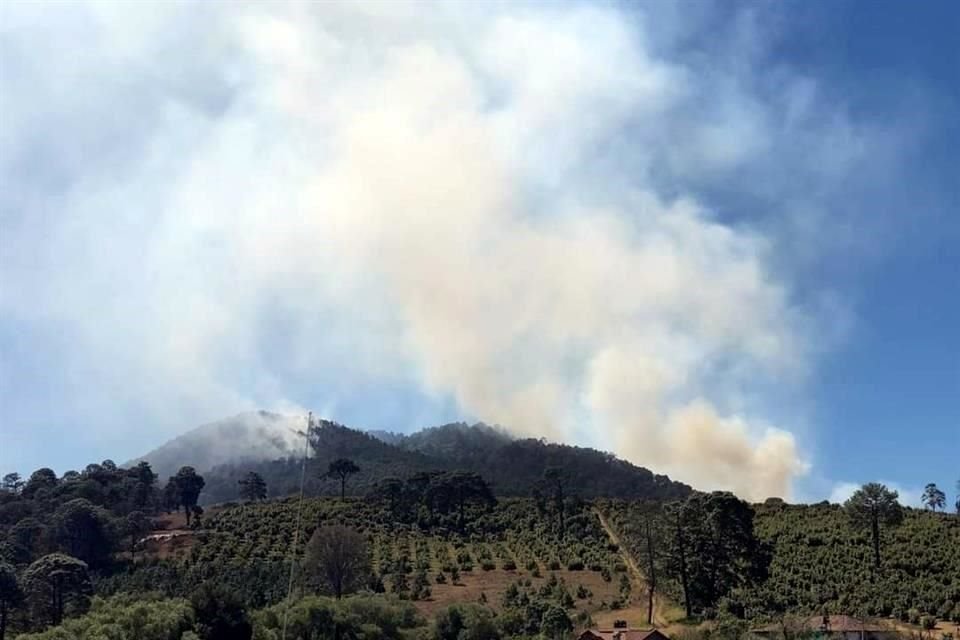 Incendio forestal en el paraje Cerro Pelón, ubicado en Mazamitla.