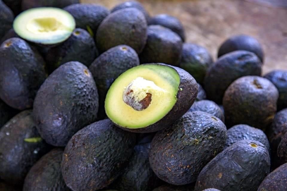 Aguacate.