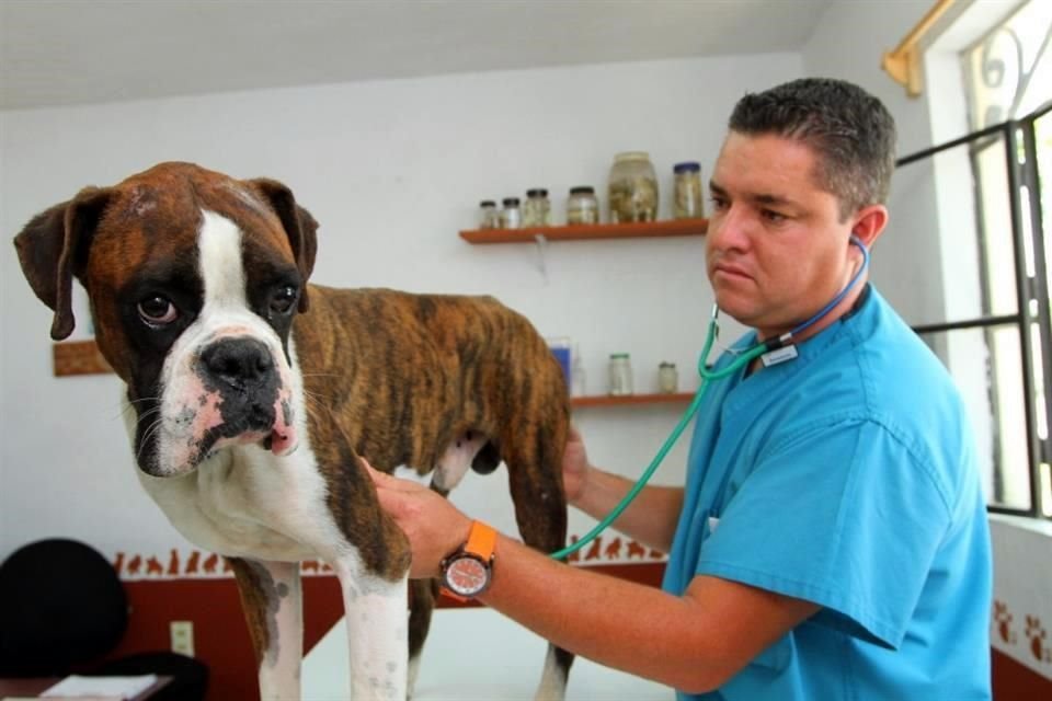 Consultorio del Centro de Salud y Control Animal de Tonalá.