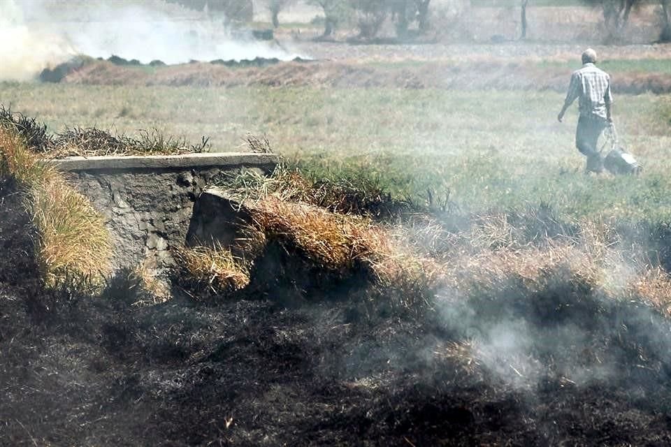 El riesgo de las quemas agrícolas es que se pueden salir de control y afectar Áreas Naturales Protegidas.
