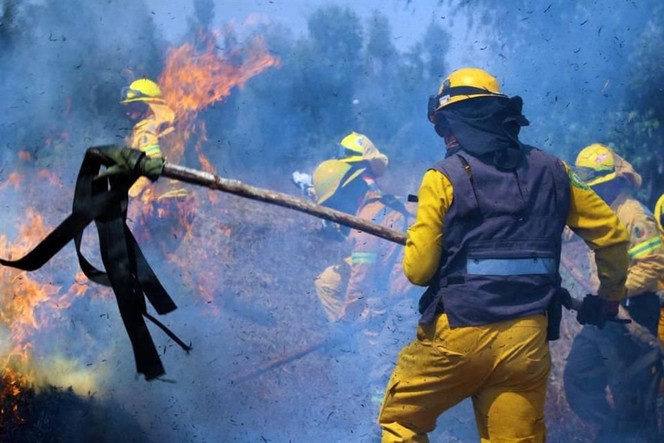 'Ha combatido un total de 592 incendios forestales y 586 conatos de incendio, del 1 de enero al 30 de abril de este año', reportó la Sedema.