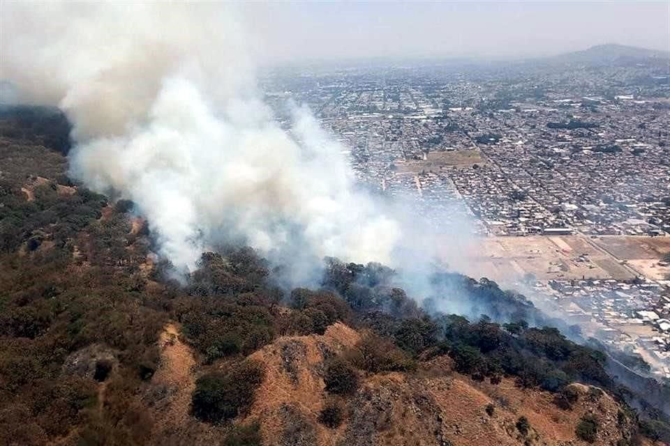 Incendio en el Cerro de El Colli.