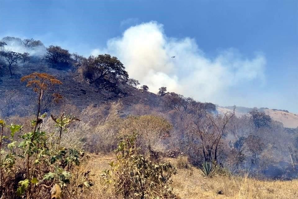 En lo que va de la temporada de estiaje, suman cinco incendios registrados en el Cerro del Colli.