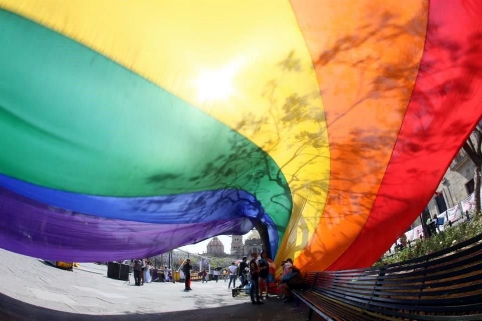 Activistas urgen a realizar reformas para garantizar que parejas gays puedan registrar a sus hijos, como planteó diputada de Futuro.