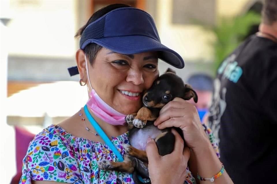 Campaña de adopción en Tonalá.