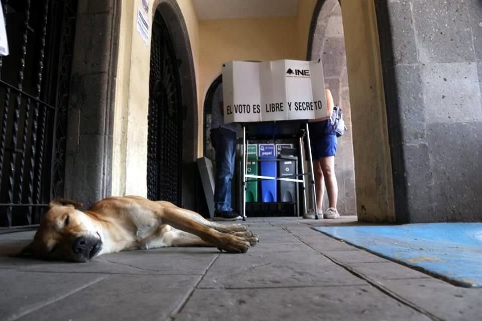 La espera desespera. En algunas casillas la afluencia se mantuvo tranquila.