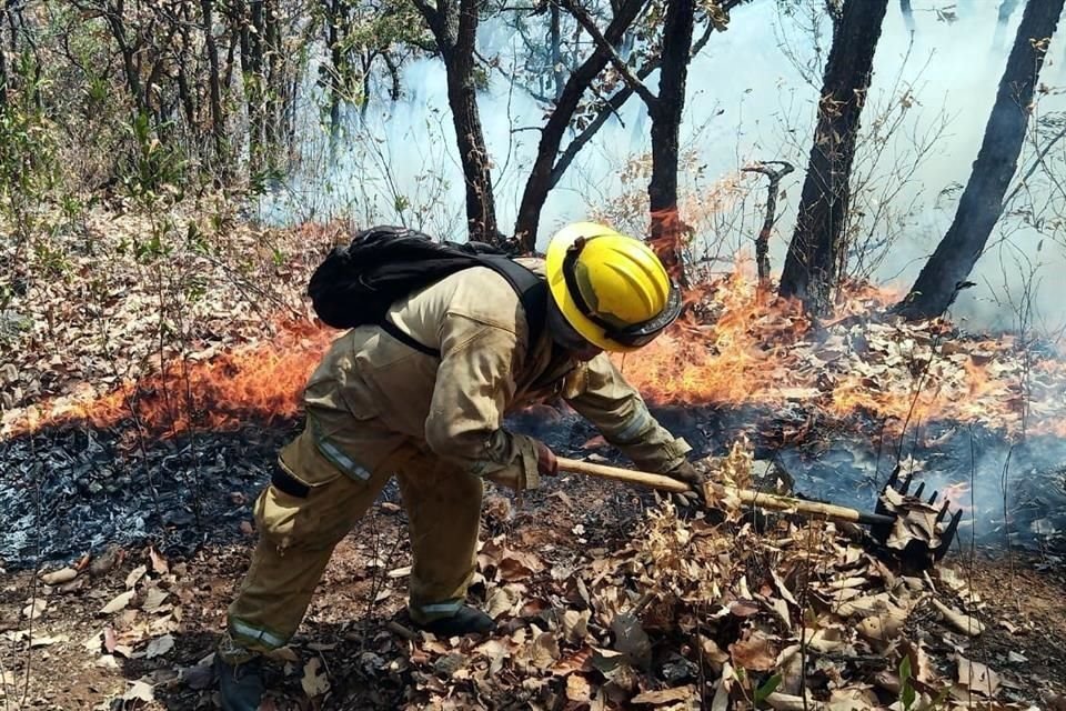 Desde hoy, hasta el 25 de abril, no habrá acceso al Cerro Viejo de Tlajomulco, medida preventiva contra incendios, anunció el Municipio.