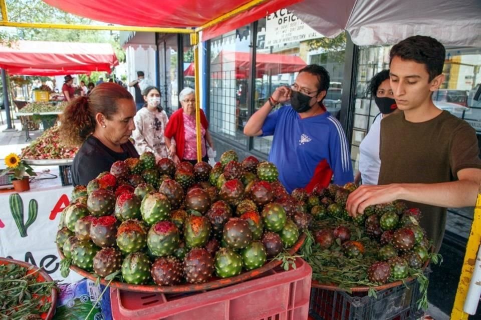Jalisco tiene nueve variedades de pitaya y la temporada se adelantó gracias al calor.