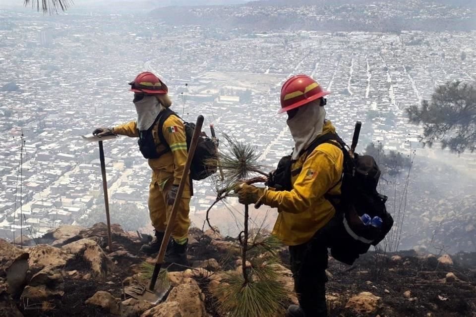 En el incendio participó personal de Protección Civil, Bomberos de Zapopan y Semadet.