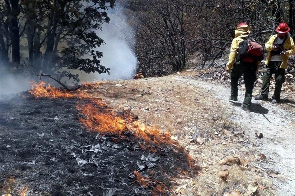 Incendio en el paraje de San José de la Montaña, que pertenece al Área Natural Protegida del Bosque La Primavera.