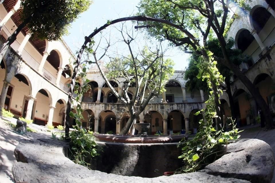 Uno de los patios del recinto se convirtió en un bosque petrificado.