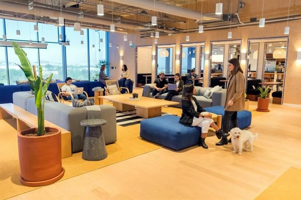 WeWork, Ijalti y la aceleradora y fondo de inversión Balero Ventures ofrecerán herramientas que ayuden a los emprendedores de Jalisco.