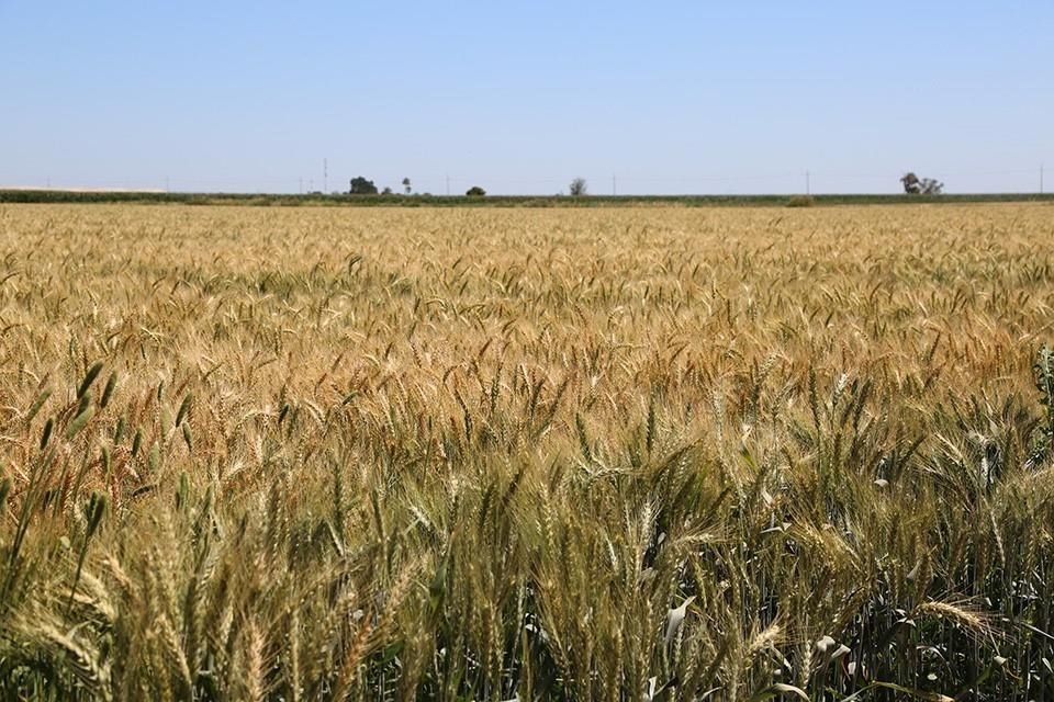 La estrategia tiene objetivos ambiciosos para el futuro que incluye 8 iniciativas en 3 pilares: Para Ti, Para la Naturaleza y Para la Vida.