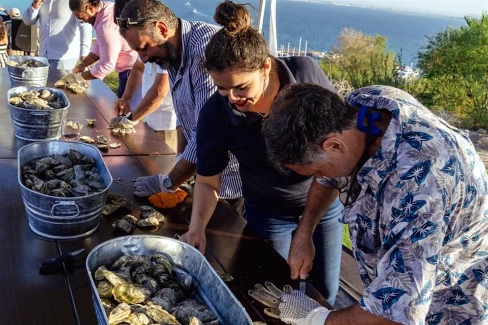 Baja California Sur tiene el primer lugar de producción nacional de Crassostrea gigas.