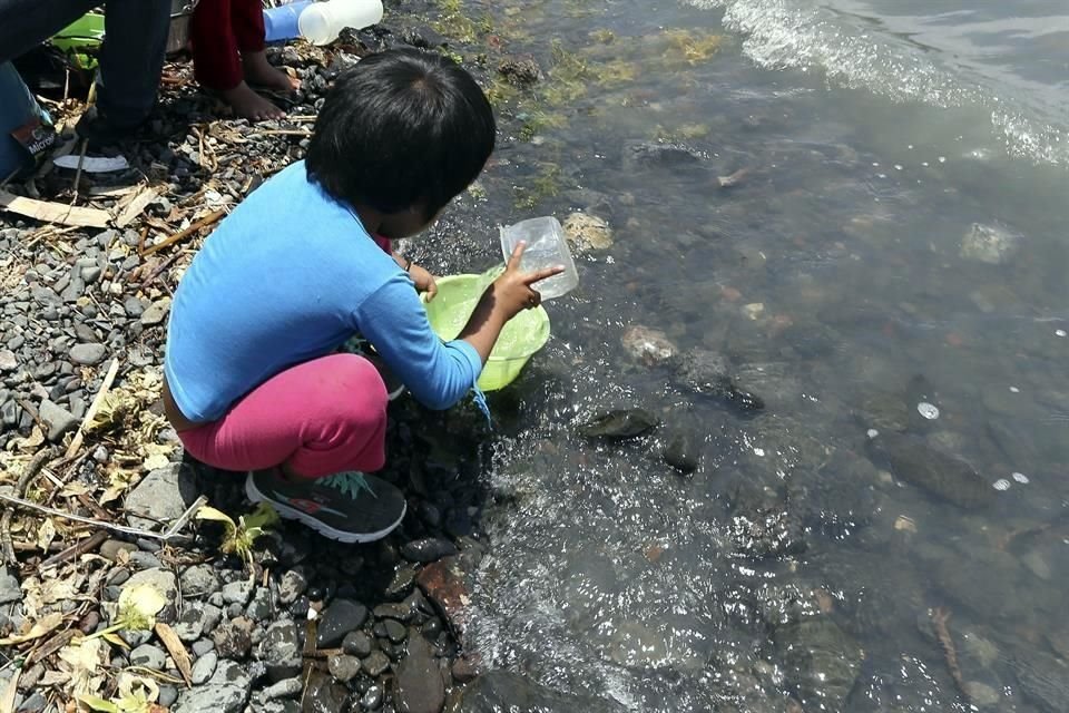 Gobierno de Jalisco prometió realizar 27 mil estudios para detectar daño renal en niños de la ribera de Chapala, pero solo fueron mil 173.