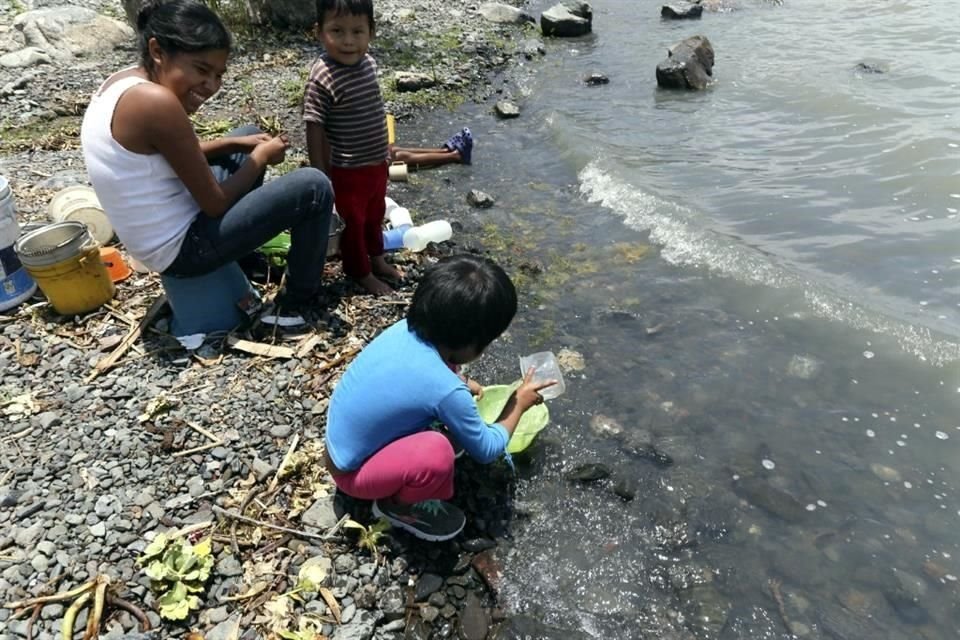 Activistas exigen que se sancione a funcionarios que ocultaron estudio sobre daños en la salud de niños y niñas expuestos a contaminantes.