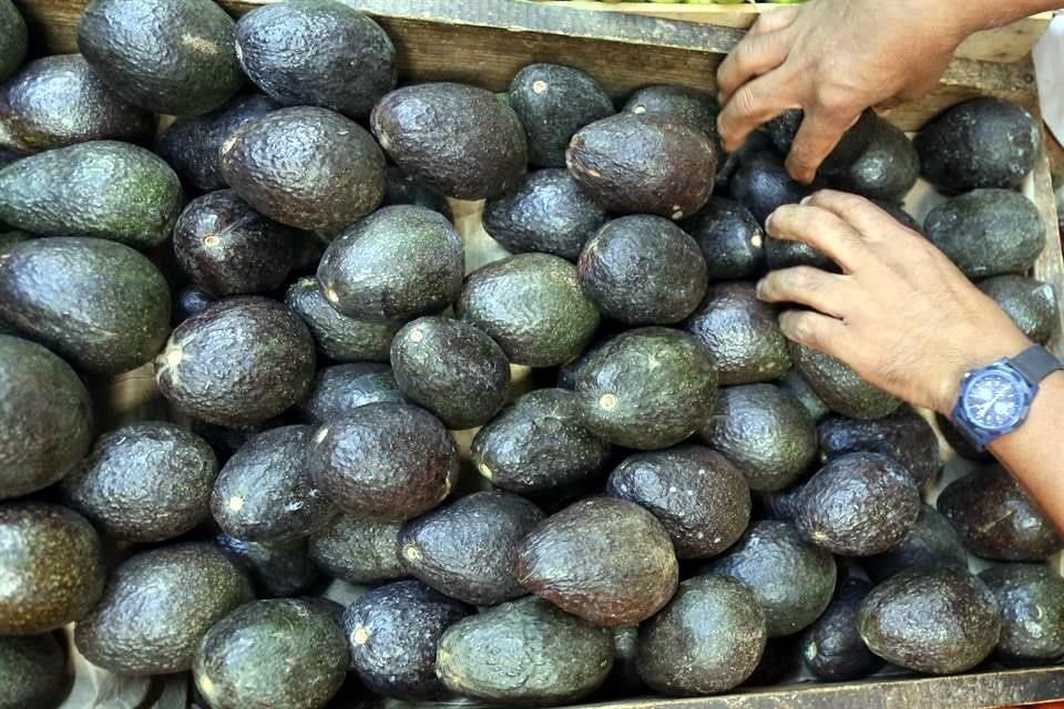 En un año el precio del aguacate se incrementó en un 123 por ciento.