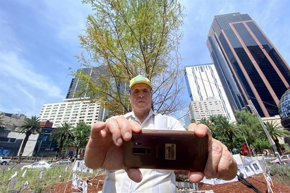 Dicen habitantes de la Ciudad extrañar a la Palma el la Glorieta de Paseo de la Reforma, pero les agrada que se haya elegido un ahuehuete.