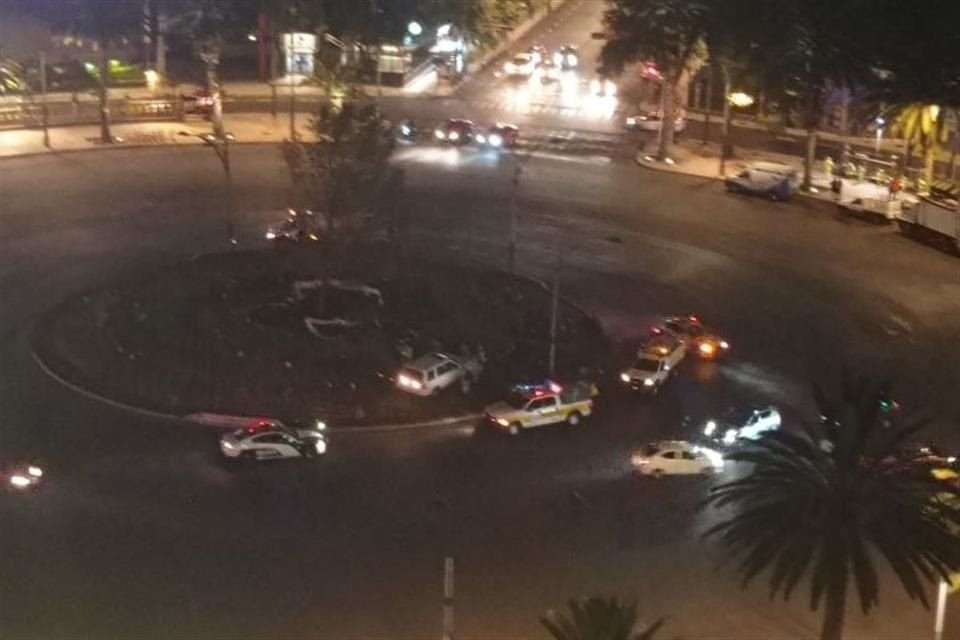 El ahuehuete, considerado Árbol Nacional de México, ocupe este espacio.