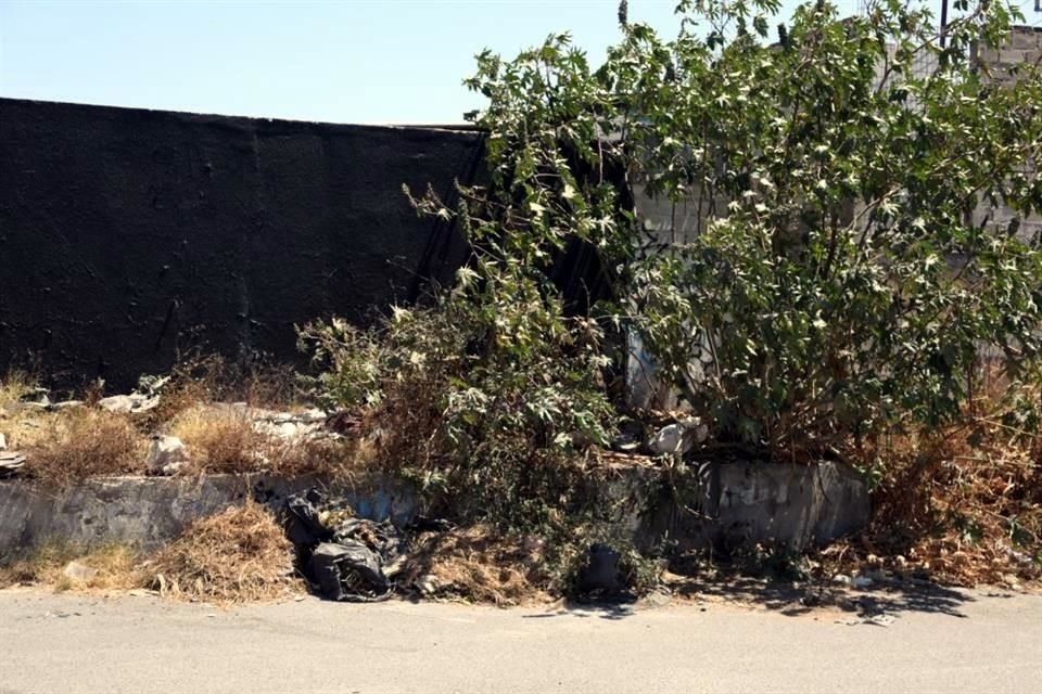 En algunos  fraccionamientos de Tlajomulco la recolección de basura no es constante.