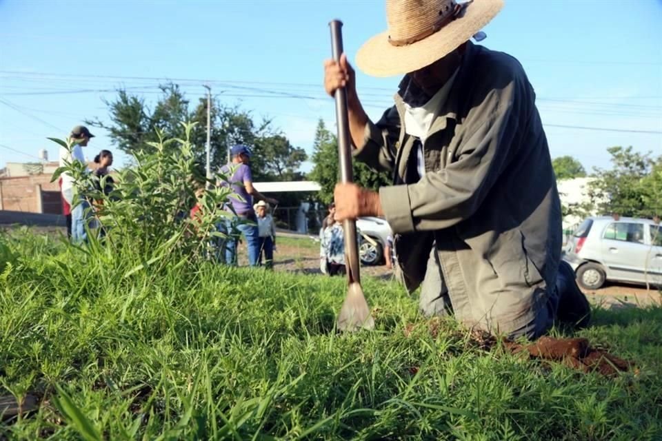 Los voluntarios se sumaron a la campaña de reforestación organizada por el colectivo Defendamos el Cerro de la Reina.