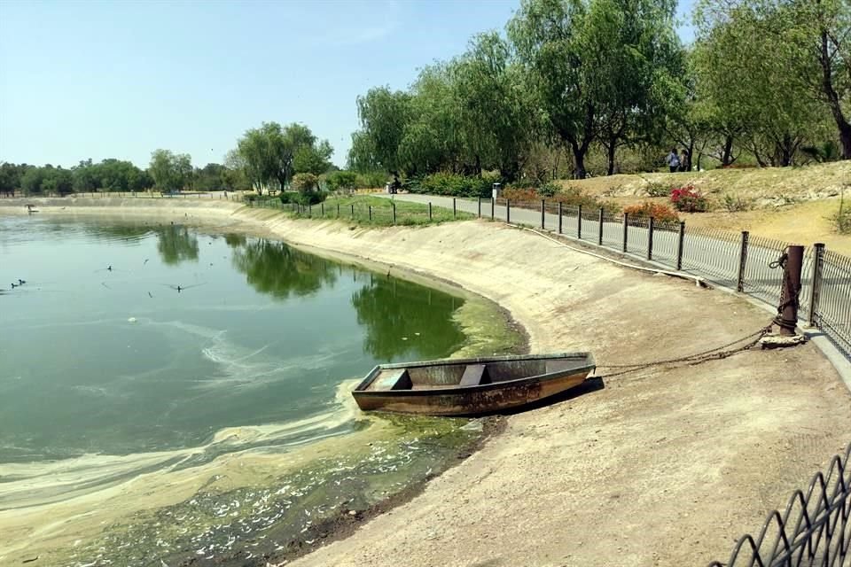 El lago del Parque Metropolitano se encuentra con un  nivel de agua muy bajo, sucio y en partes totalmente seco.